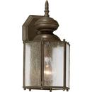 Progress Lighting Antique Bronze 12-1/2 x 7 in. 100W 1-Light Outdoor Wall Lantern 