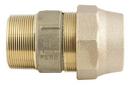 1-1/2 x 2 in. MIP x CTS Grip Joint Brass Coupling