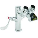 Combination Single Faucet Eye Wash with 4 in. Wristblade Handle in Polished Chrome