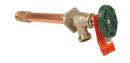 Brass 3/4 in. MIPS and Sweat x Threaded Wall Hydrant