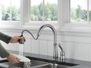 Delta Faucet Arctic Stainless Single Handle Pull Down Kitchen Faucet 