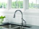 Delta Faucet Arctic Stainless Single Handle Pull Down Kitchen Faucet 