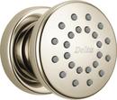 Single Function Body Spray in Brilliance® Polished Nickel