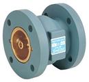 4 in. Cast Iron Flanged Check Valve