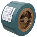 3 in. Cast Iron Wafer Check Valve 