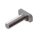 3/4 in. 304 Stainless Steel T-Head Bolt 