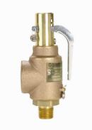 Apollo Valves 1/2 x 1 in. Bronze NPT 406 Relief Valve 