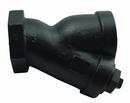 Apollo Valves Cast Iron Wye Strainer 