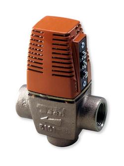 1 in. Geothermal Zone Valve