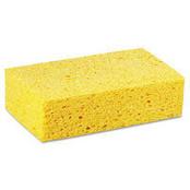 Sponges
