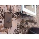 Pass & Seymour Magnesium 15A Proof Outlet 