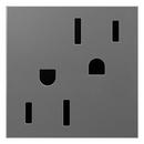 Pass & Seymour Magnesium 15A Proof Outlet 