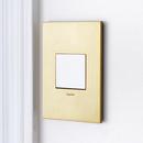 Pass & Seymour White 2-Module Switch 