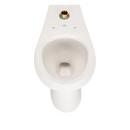 Zurn White Elongated Toilet Bowl 