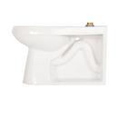 Zurn White Elongated Toilet Bowl 