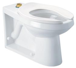 Elongated Toilet Bowl in White