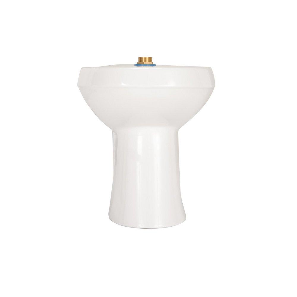 Zurn White Elongated Toilet Bowl 