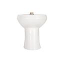 Zurn White Elongated Toilet Bowl 