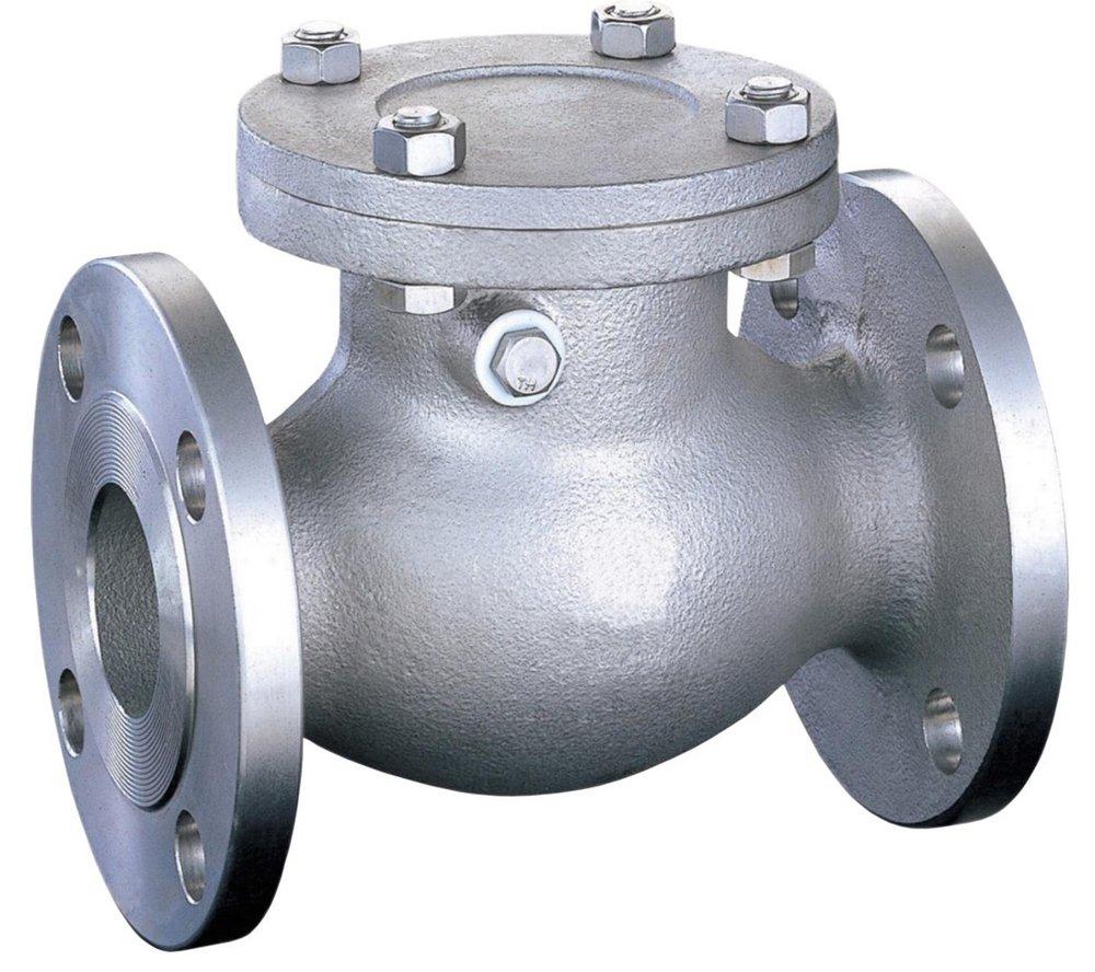 FNW&reg; 150# RF FLG CF8M T10 Swing Check Valve PTFE Cover Gasket, API 603, Stainless Steel 316 Body, Trim 10, Bolted Cover 