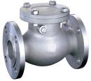 FNW&reg; 150# RF FLG CF8M T10 Swing Check Valve PTFE Cover Gasket, API 603, Stainless Steel 316 Body, Trim 10, Bolted Cover 