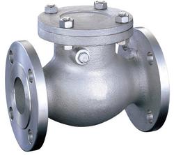 4 in. Stainless Steel Flanged Swing Check Valve