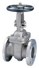 2-1/2 in. Stainless Steel Flanged Handwheel Gate Valve