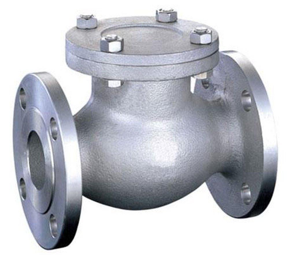 FNW&reg; 300# RF FLG CF8M T10 Swing Check Valve PTFE Cover Gasket, API 603, Stainless Steel 316 Body, Trim 10, Bolted Cover 