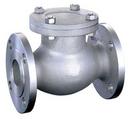 2 in. 300# RF FLG CF8M T10 Swing Check Valve PTFE Cover Gasket, API 603, Stainless Steel 316 Body, Trim 10, Bolted Cover