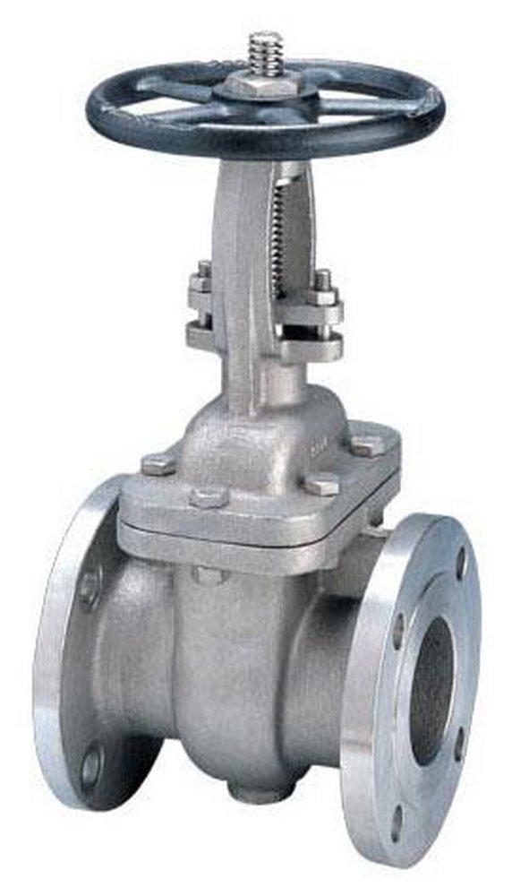 FNW&reg; 300# RF FLG CF8M T10 Gate Valve PTFE Packing, API 603, Stainless Steel 316 Body, Trim 10, Bolted Bonnet 