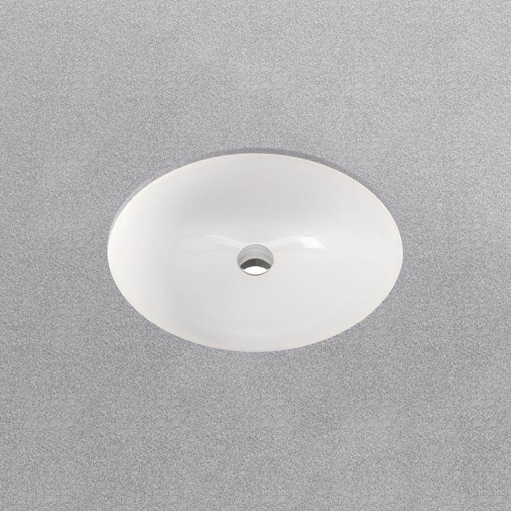 PROFLO® White 17 x 14 x 7-1/2 in. Undermount Bathroom Sink (Mounting Clips Included) 