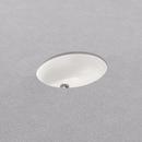 PROFLO&reg; White 17 x 14 x 7-1/2 in. Undermount Bathroom Sink (Mounting Clips Included) 