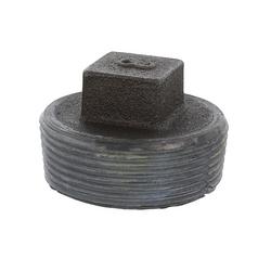 3 in. Threaded Cast Iron Cored Plug