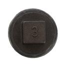 Jones Stephens Threaded Cast Iron Cored Plug 