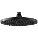 Single Function Showerhead in Matte Black