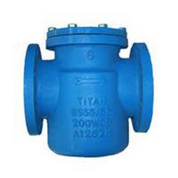 Basket 10 in. Cast Iron Flanged Wye Valve Stainer