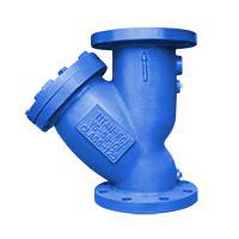 Titan Flow Control Wye Cast Iron Flanged Valve Strainer 