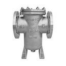 Titan Flow Control 150# Carbon Steel Flange Perforated Basket Strainer 