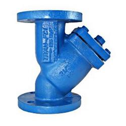 2-1/2 x 2-1/2 in. Flanged Cast Iron Mesh Wye Strainer