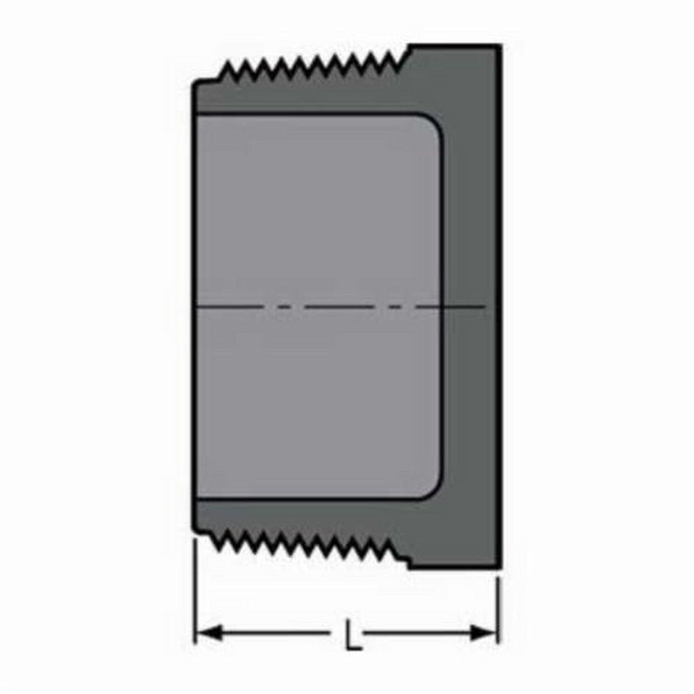 Grey MPT Schedule 80 PVC Plug 