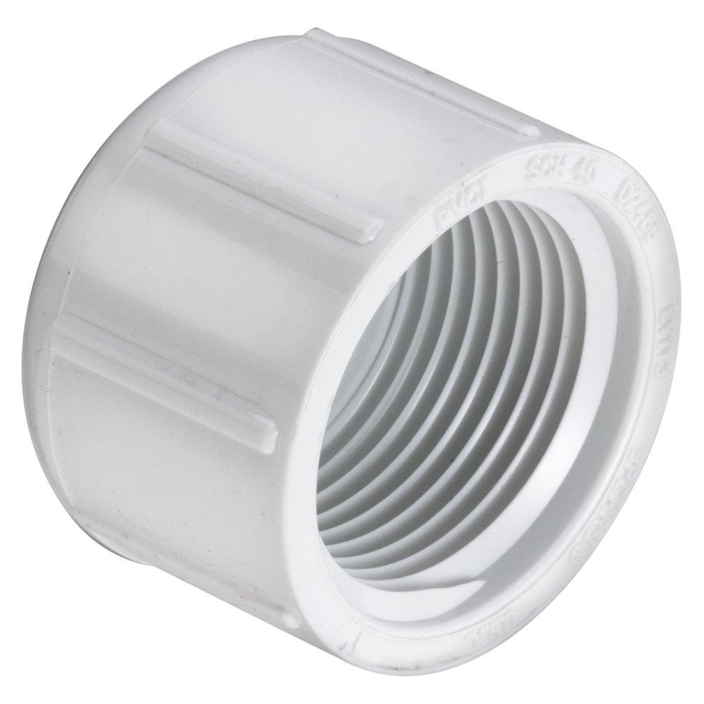White FPT Schedule 40 PVC Cap 