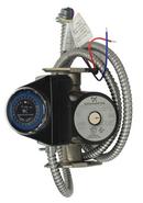 3/4 in. Flanged Recirculation Pump Kit with Timer