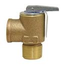 3/4 in. Bronze MNPT x FNPT 30# 250 Relief Valve