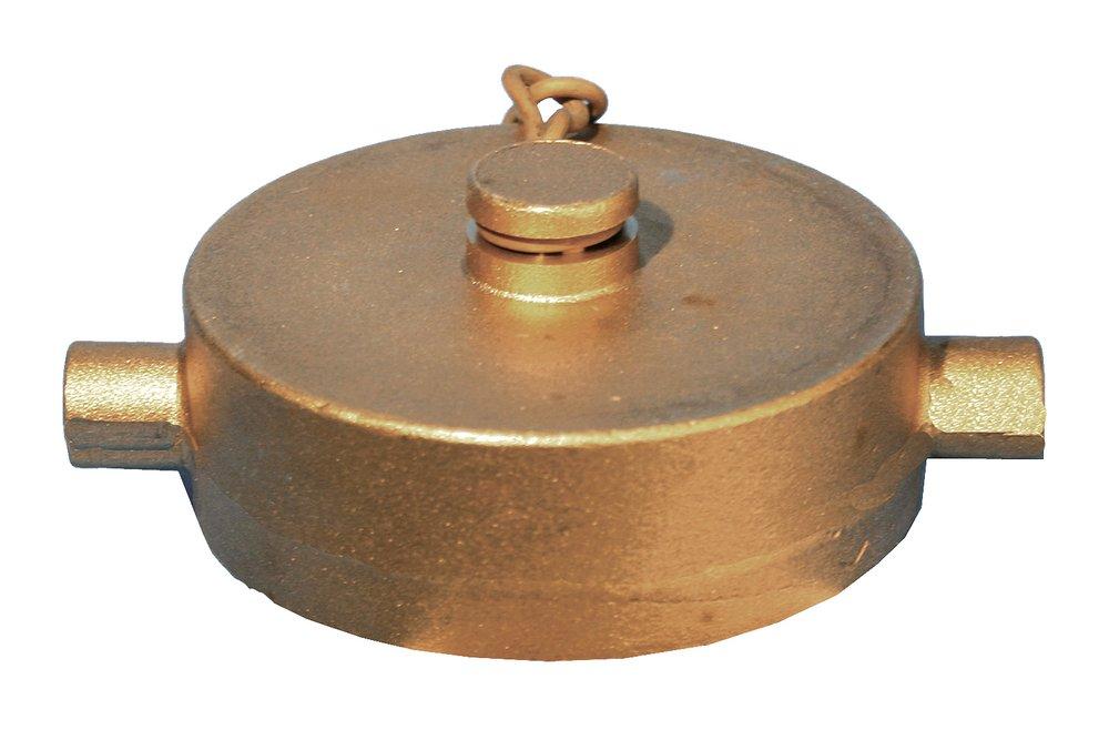 Dixon Valve & Coupling NST Brass Pin Lug Cap with Chain 