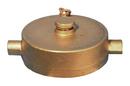 Dixon Valve & Coupling NST Brass Pin Lug Cap with Chain 