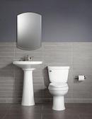 KOHLER White Round Closed Front with Cover 