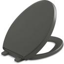 Elongated Closed Front Quiet-Close Toilet Seat in Thunder Grey