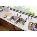 Elkay Lustertone 2-Hole Double Bowl Self-rimming or Drop-in Stainless Steel Dual Mount Kitchen Sink 