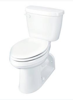 Elongated Floor Mount Toilet Bowl in White
