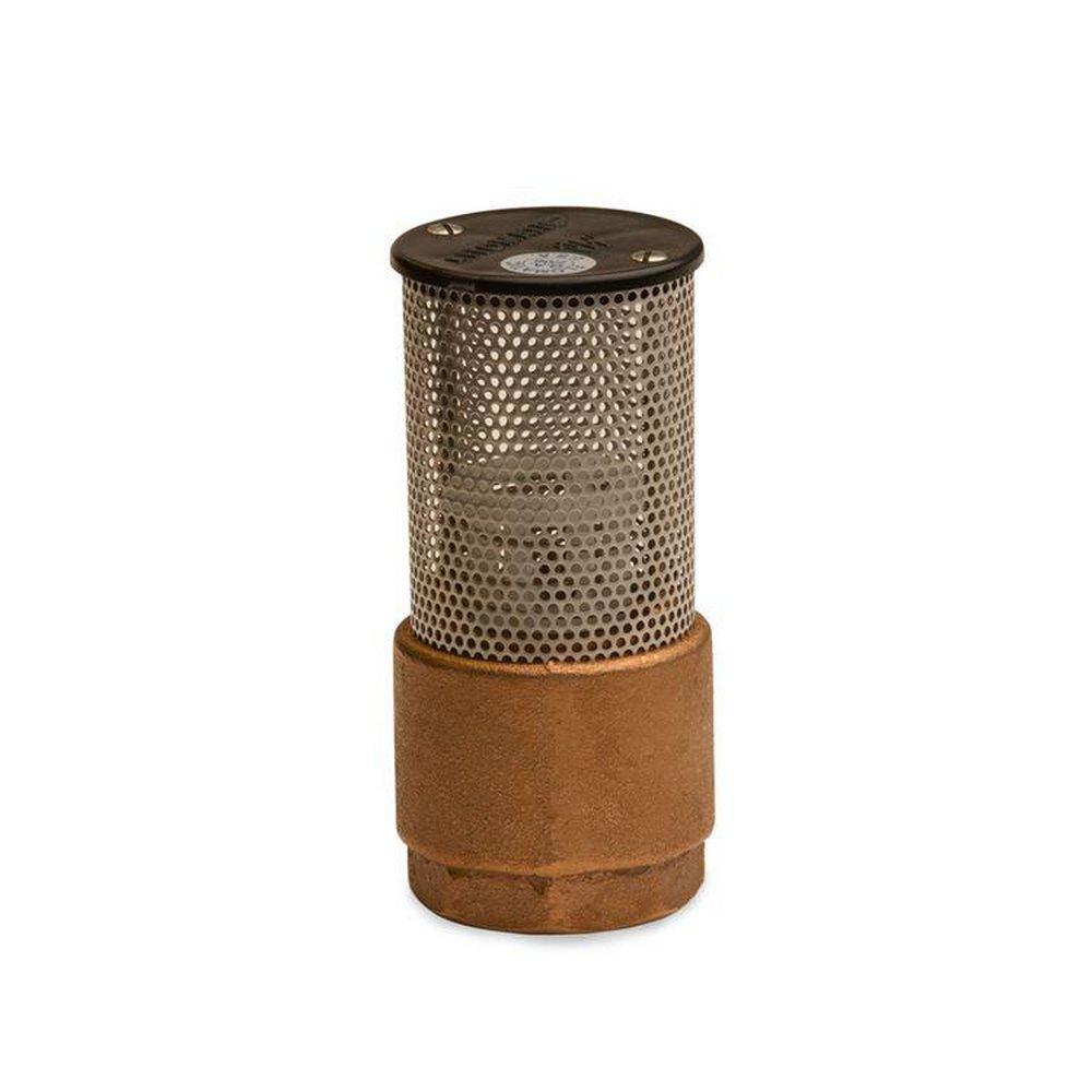 Danfoss Bronze Female Threaded Foot Valve 