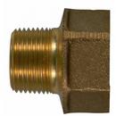 A.Y. McDonald MNPT x Threaded Brass Adapter Coupling 